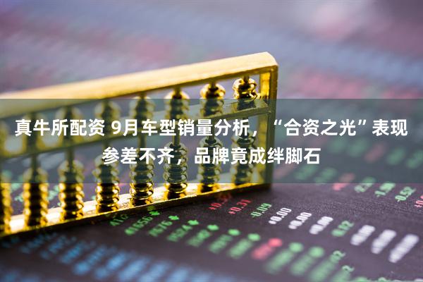真牛所配资 9月车型销量分析，“合资之光”表现参差不齐，品牌竟成绊脚石