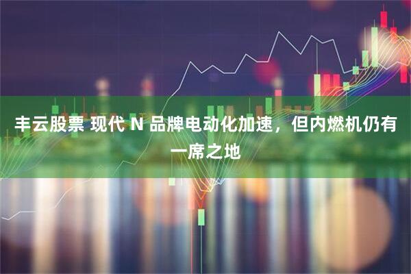 丰云股票 现代 N 品牌电动化加速，但内燃机仍有一席之地